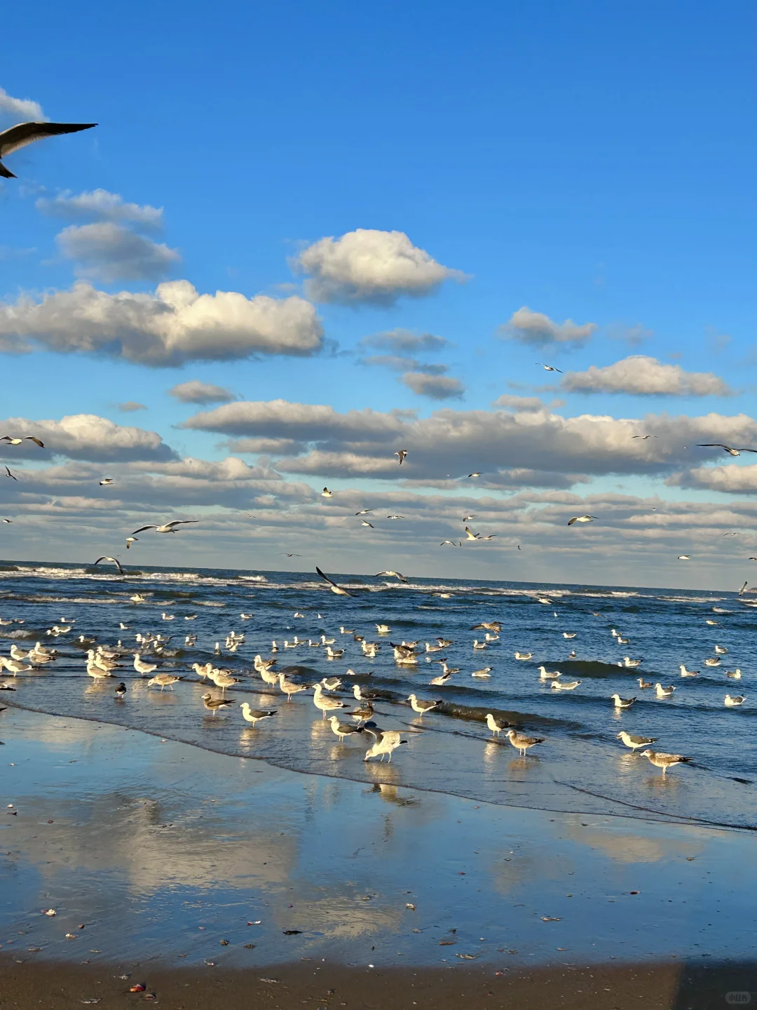 11.25日烟台！我愿称之为海边的童话世界！！