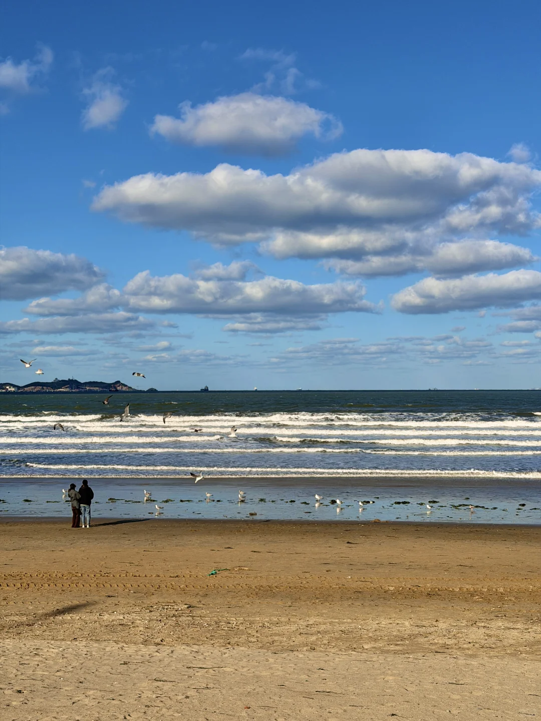 11月在烟台看海🫧🌊