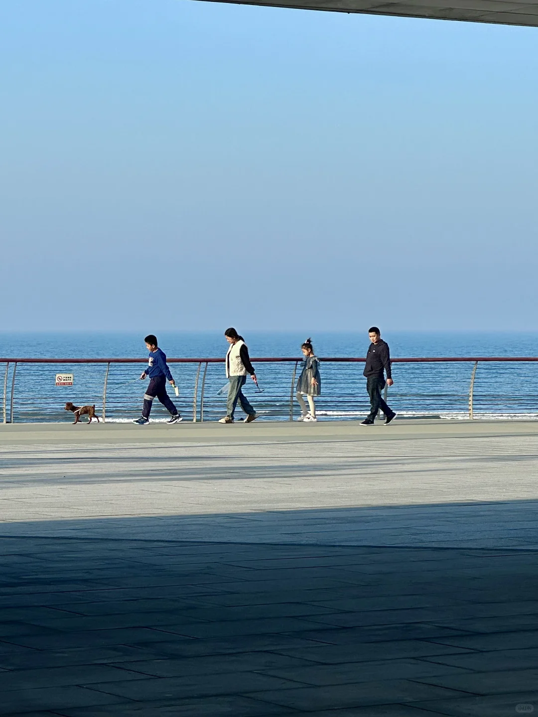 “这里是11月的烟台”🫧🌊🐚☁️