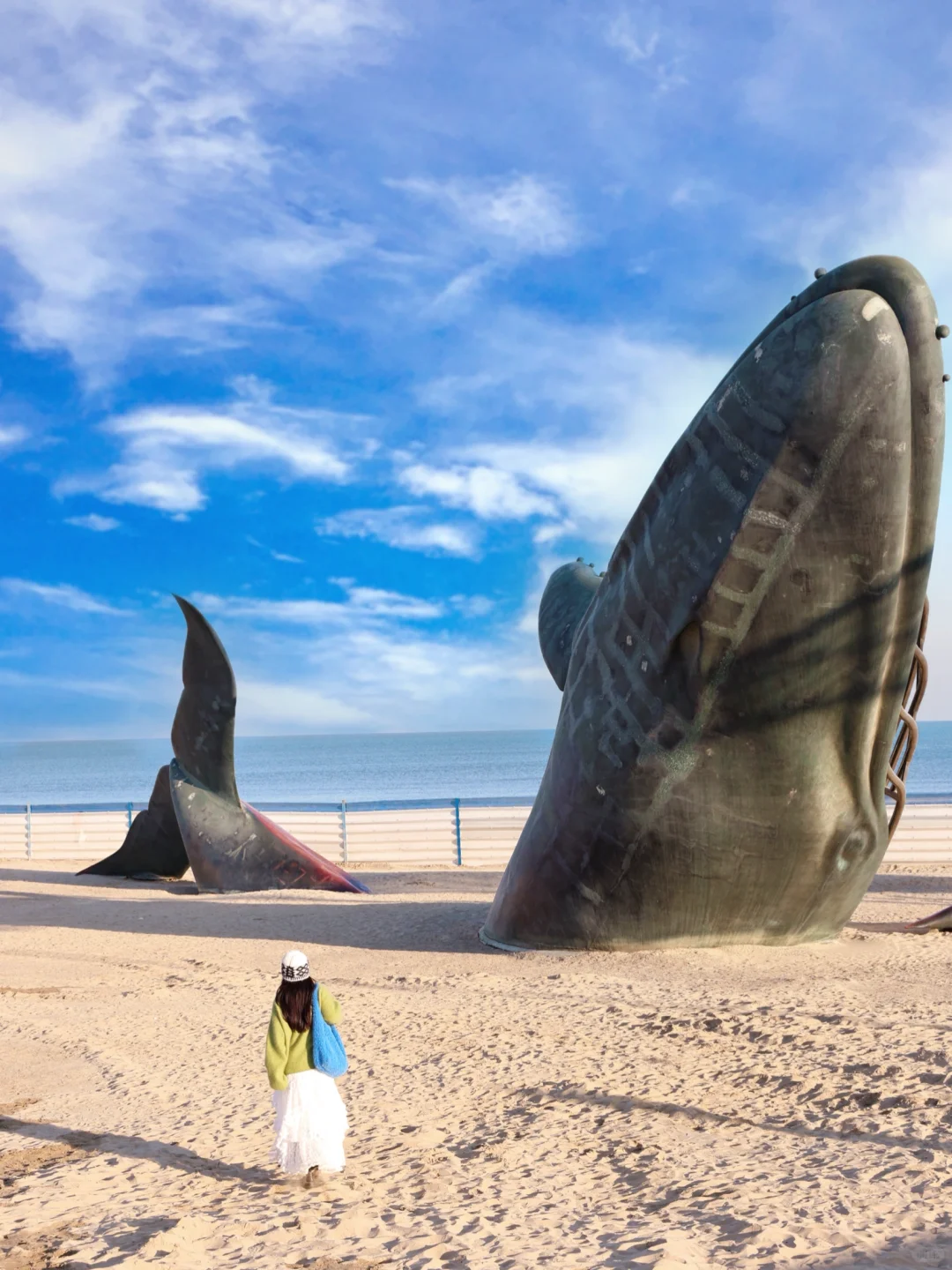 为了这18张图，我特地去了趟烟台❗️