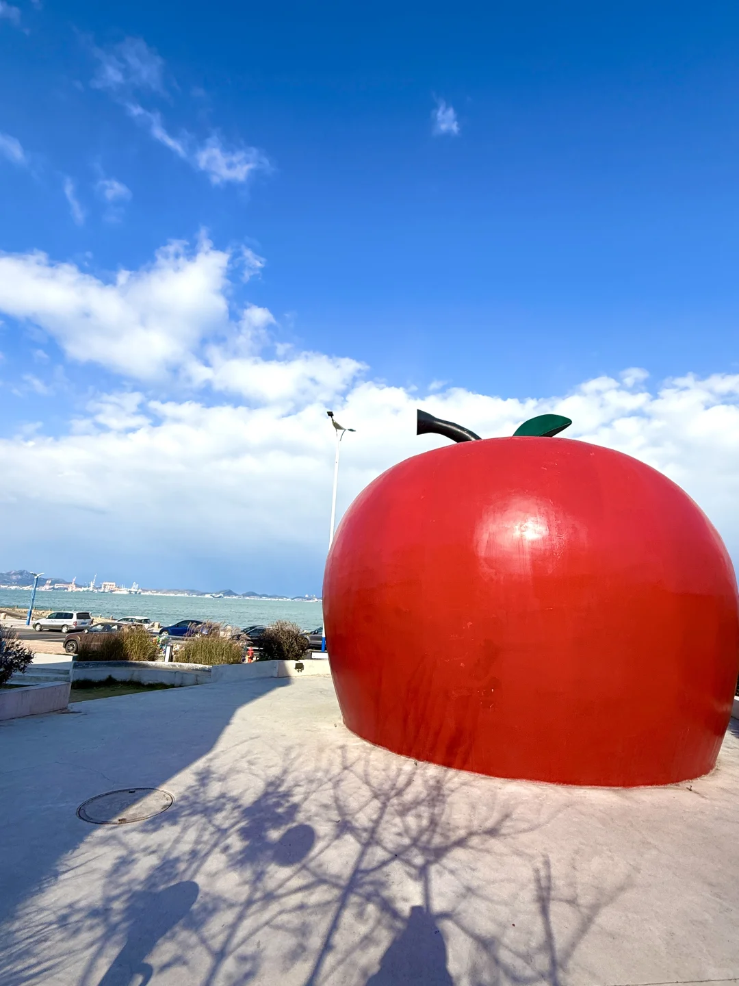 冬天的烟台简直封神了！！