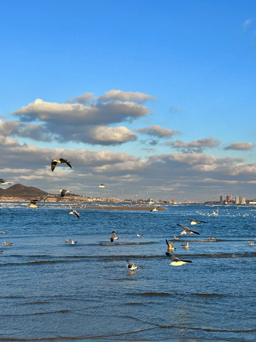 11.25日烟台！我愿称之为海边的童话世界！！