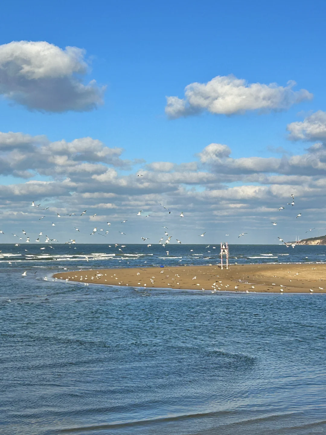 11.25日烟台！我愿称之为海边的童话世界！！