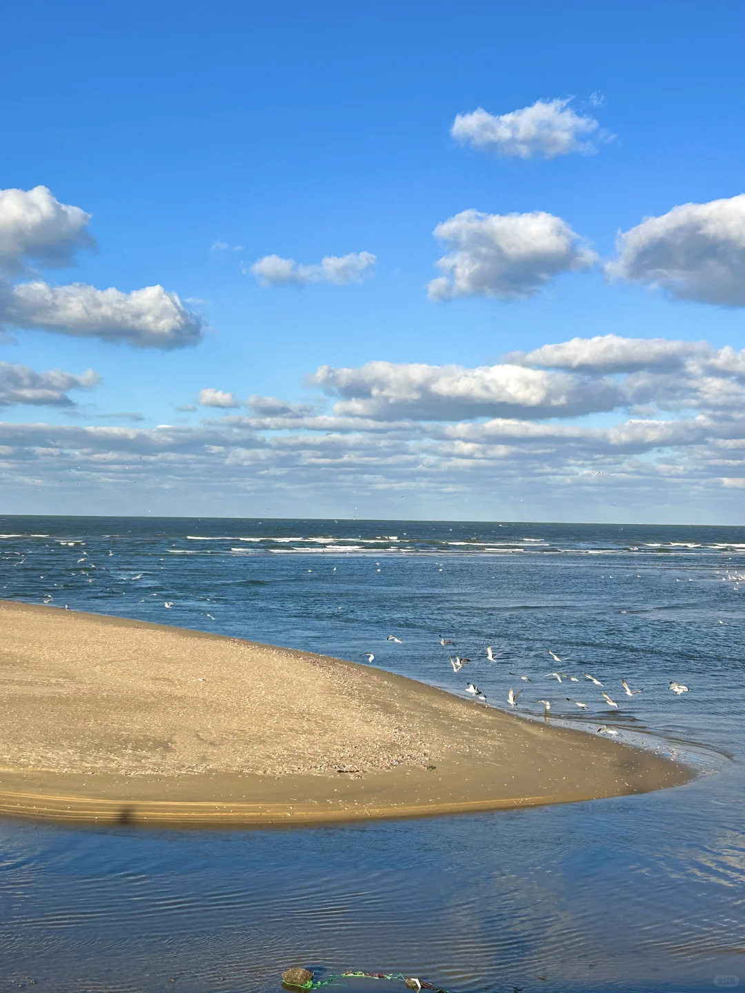 11.25日烟台！我愿称之为海边的童话世界！！