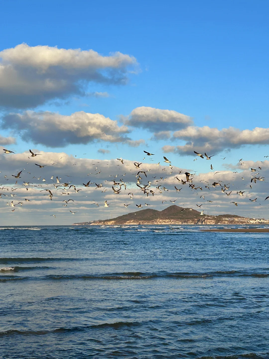 11.25日烟台！我愿称之为海边的童话世界！！