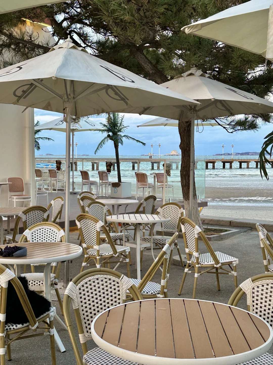 11月在烟台看海🫧🌊