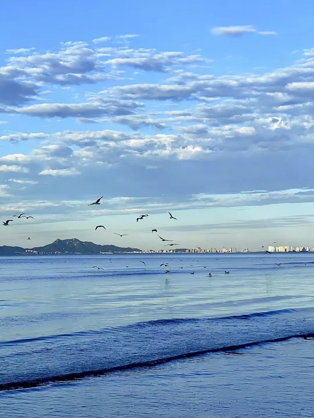 烟台 | 最好的季节已来，偏偏没人看海🌊