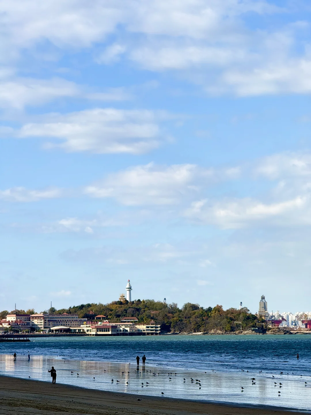 冬天的烟台简直封神了！！