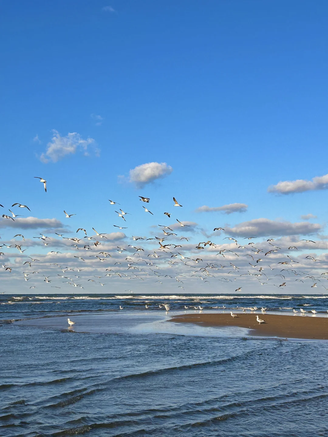 11.25日烟台！我愿称之为海边的童话世界！！