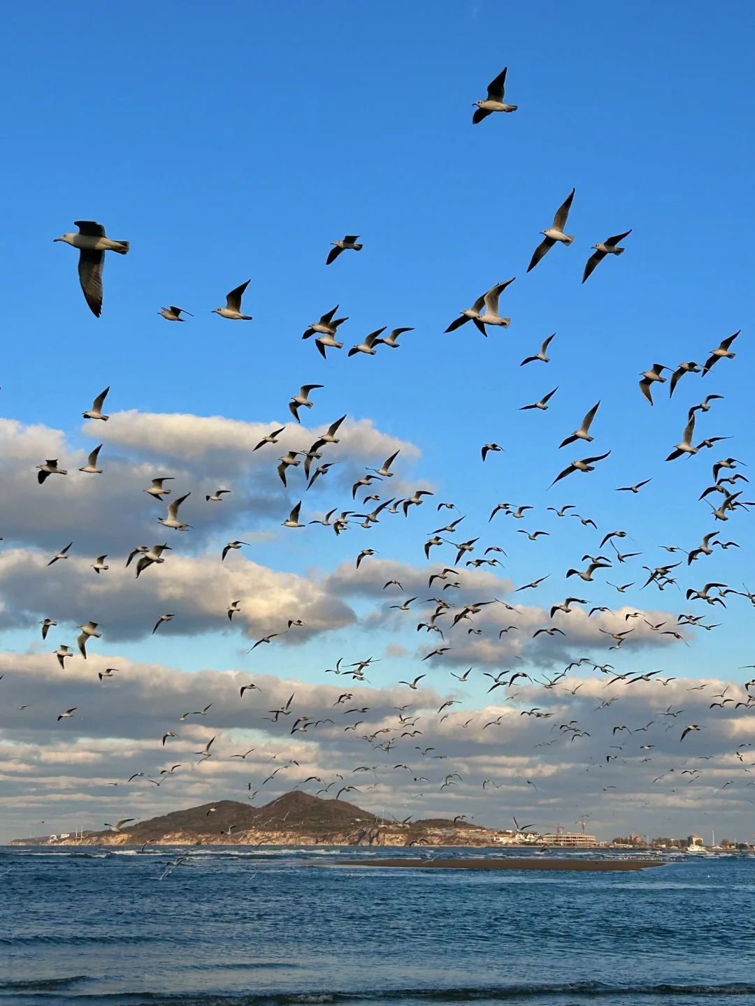 11.25日烟台！我愿称之为海边的童话世界！！
