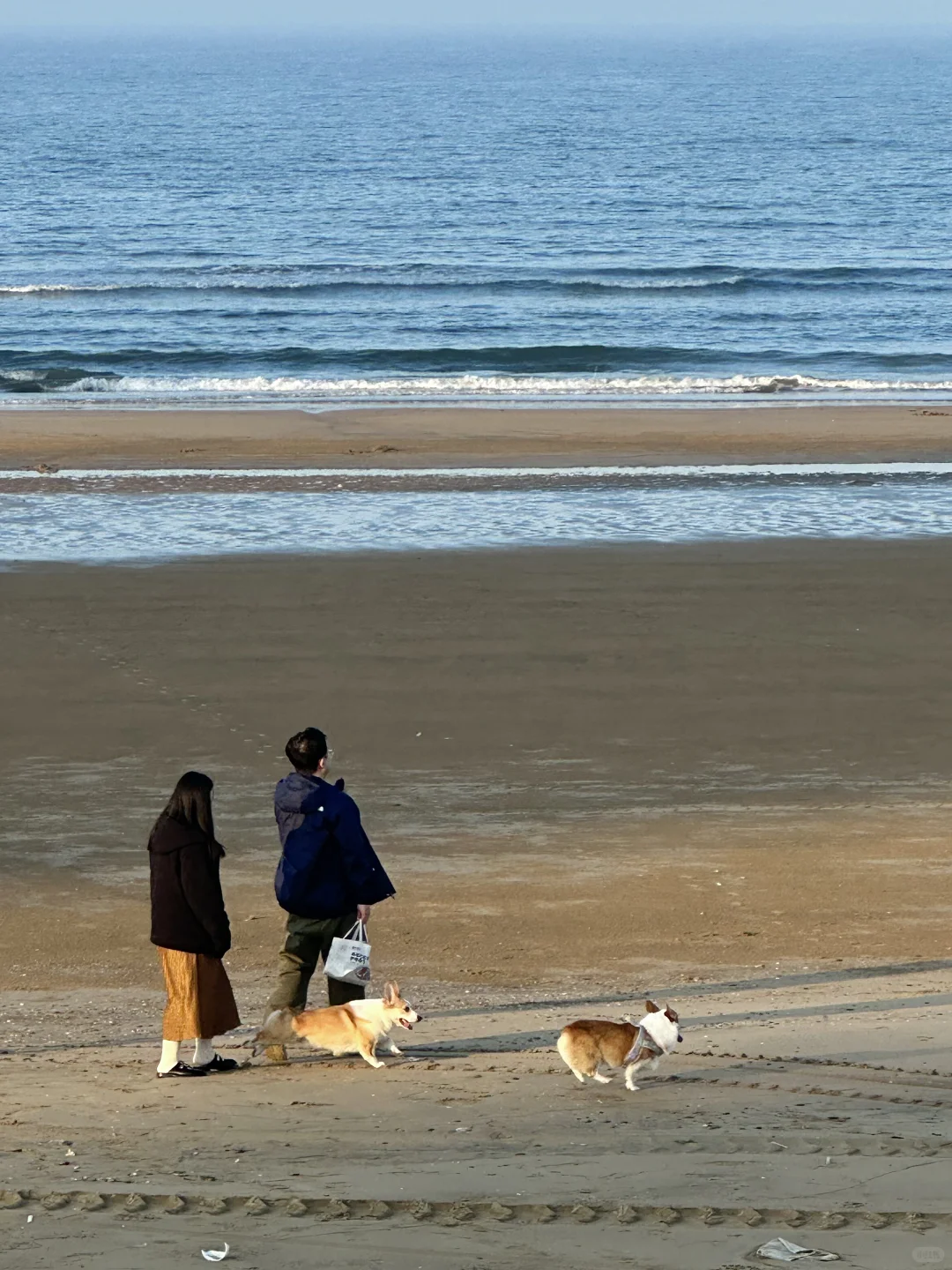“这里是11月的烟台”🫧🌊🐚☁️