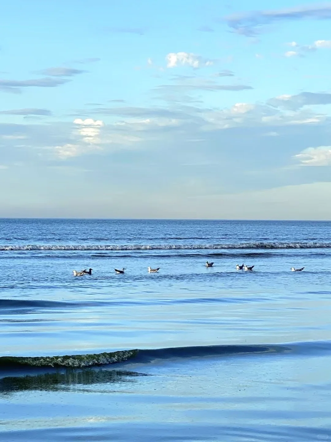 烟台 | 最好的季节已来，偏偏没人看海🌊