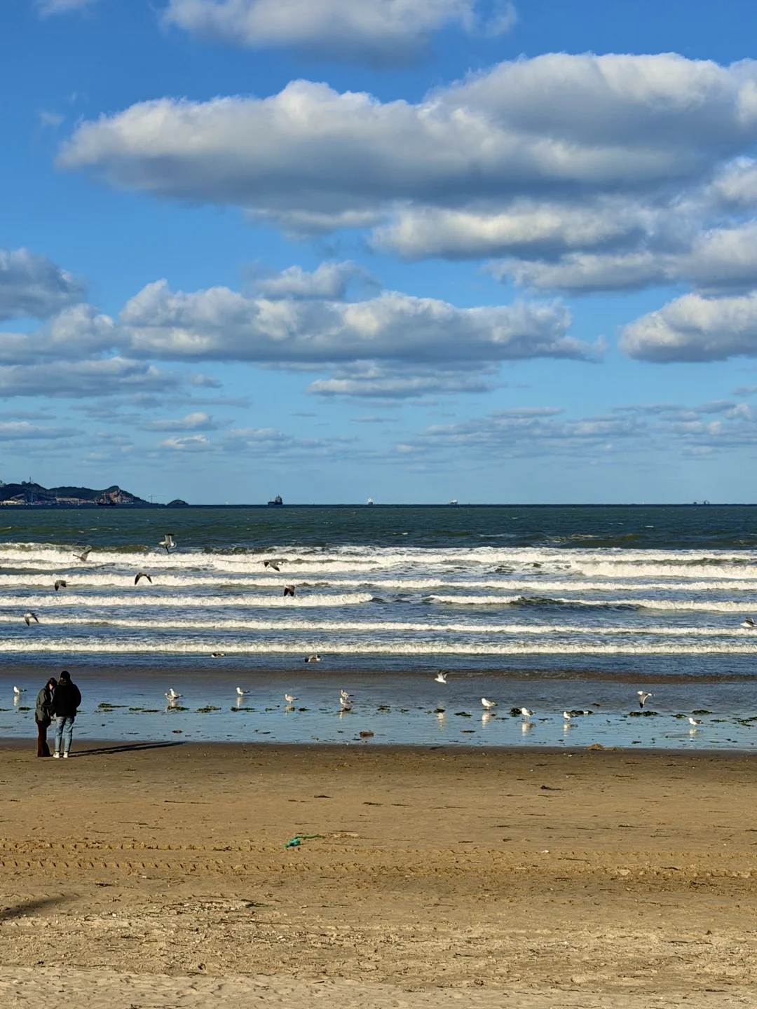 “这里是11月的烟台”🫧🌊🐚☁️