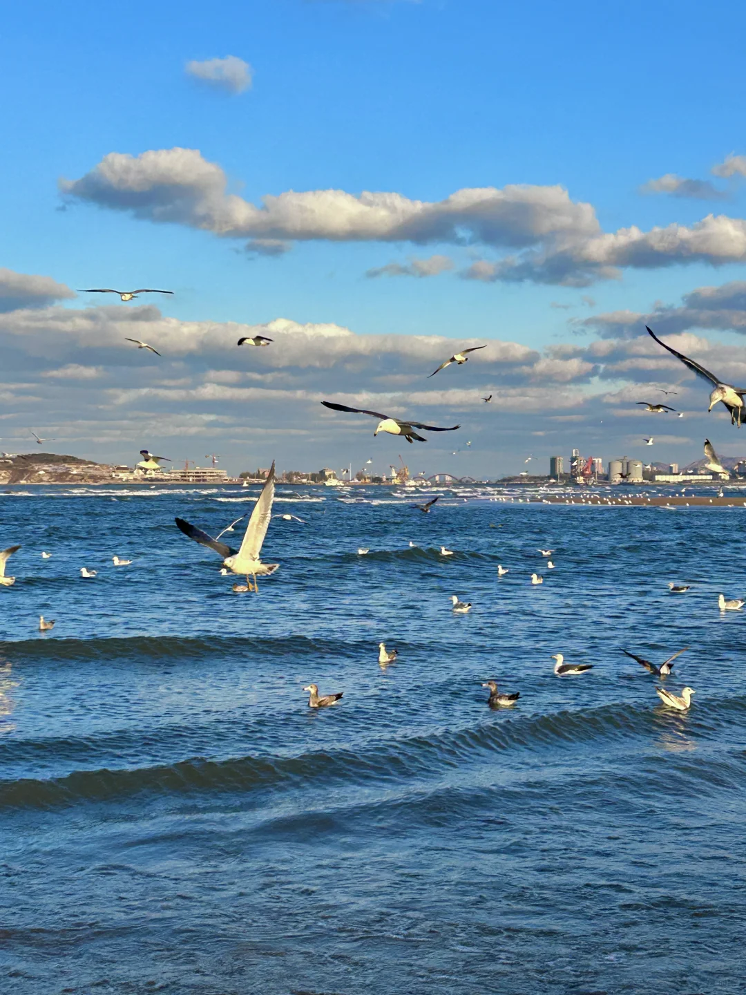 11.25日烟台！我愿称之为海边的童话世界！！