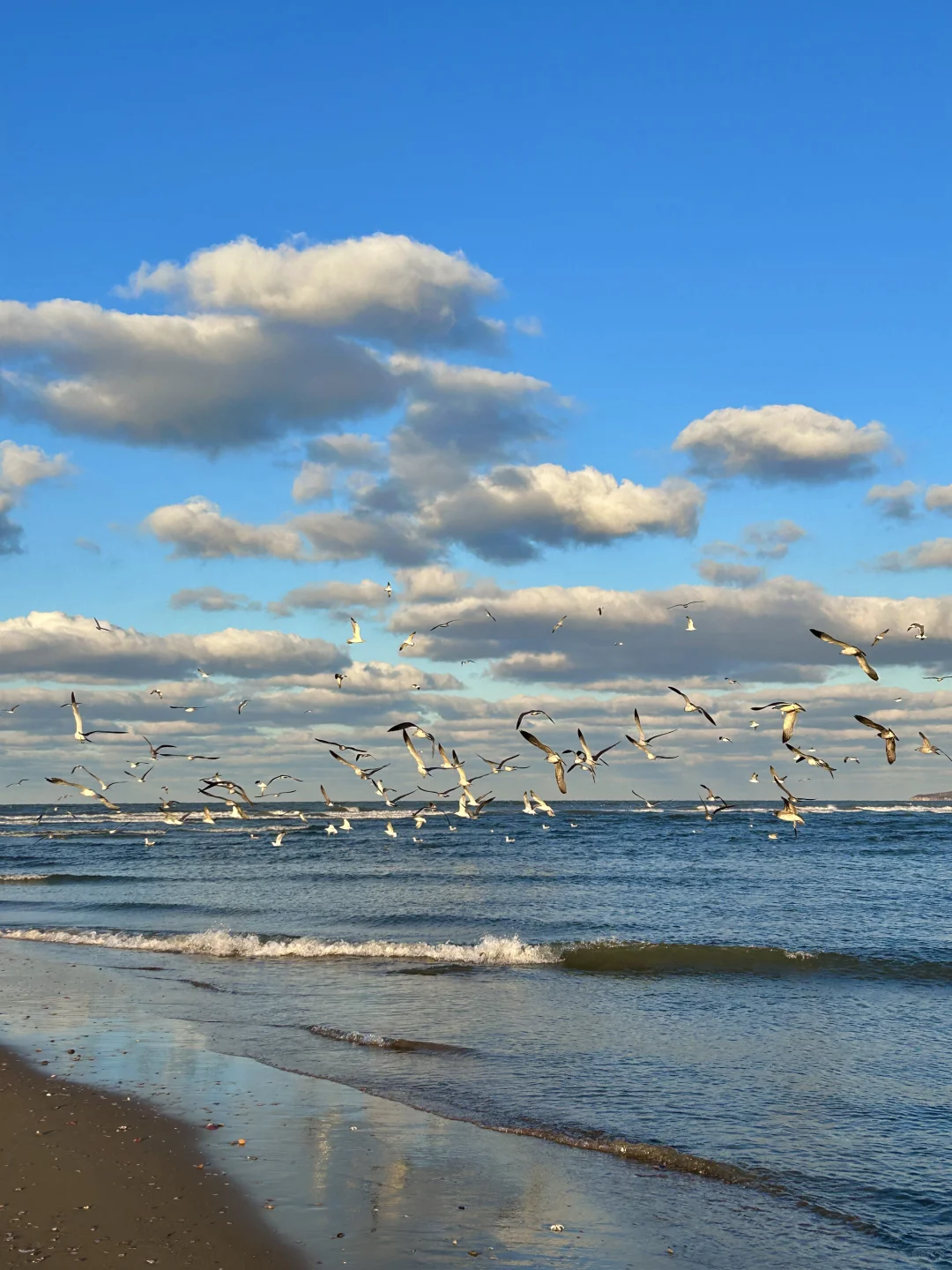 11.25日烟台！我愿称之为海边的童话世界！！