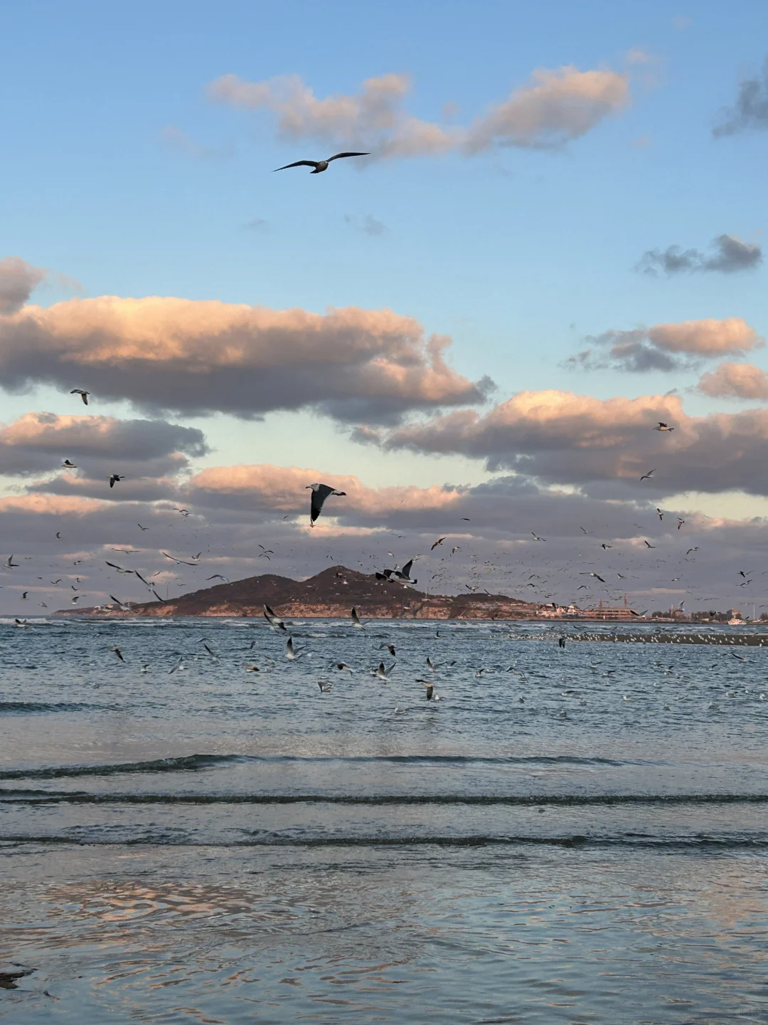 11.25日烟台！我愿称之为海边的童话世界！！