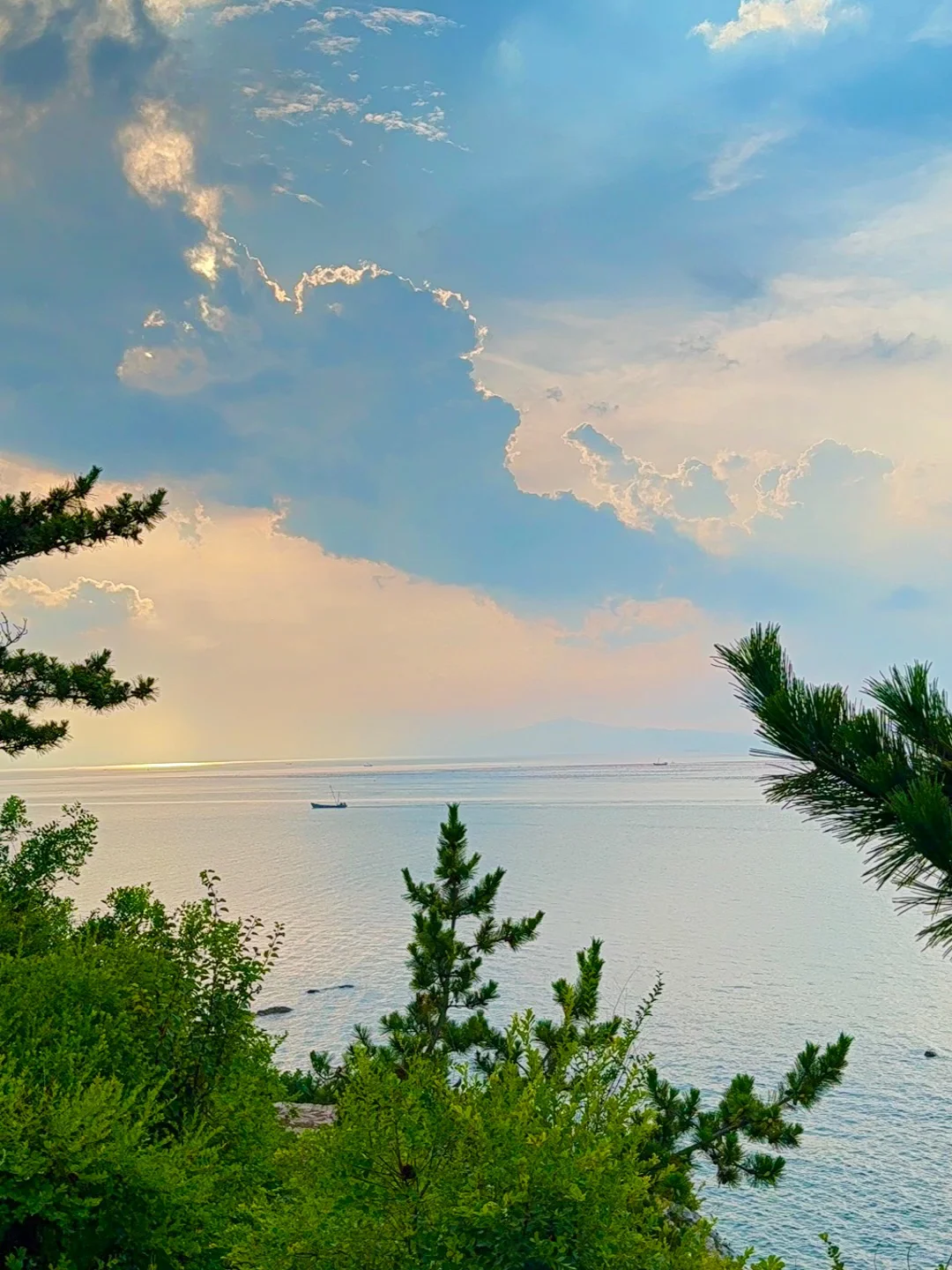 冬天的烟台简直封神了！！