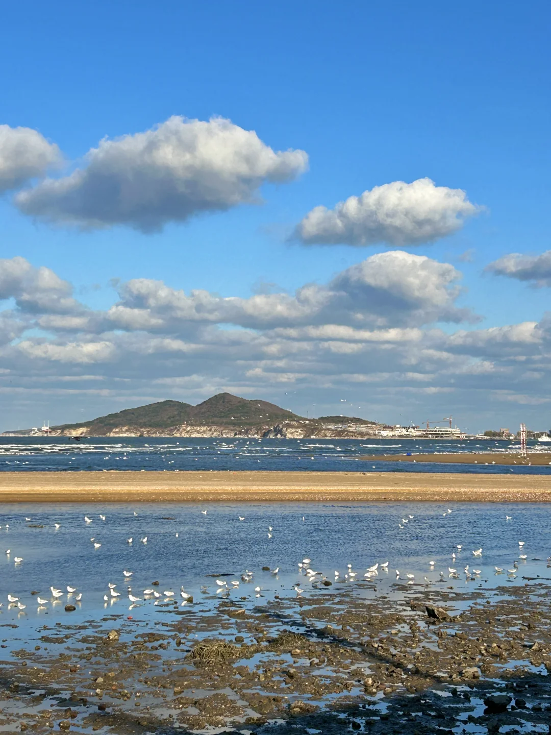 11.25日烟台！我愿称之为海边的童话世界！！