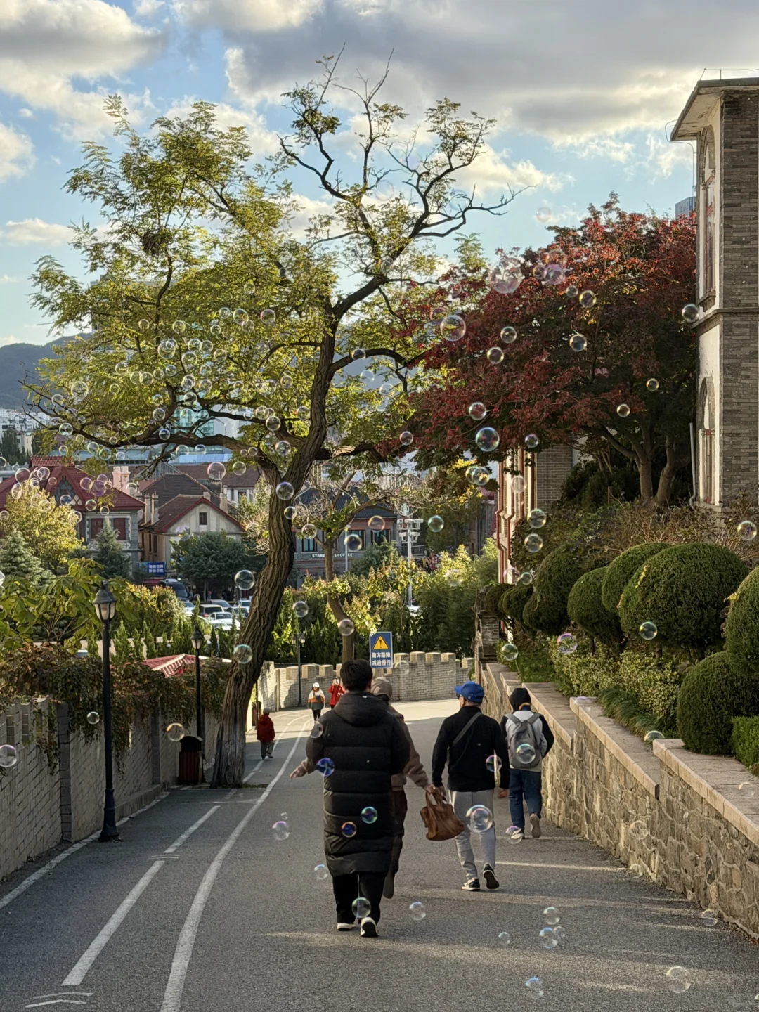 11月在烟台看海🫧🌊