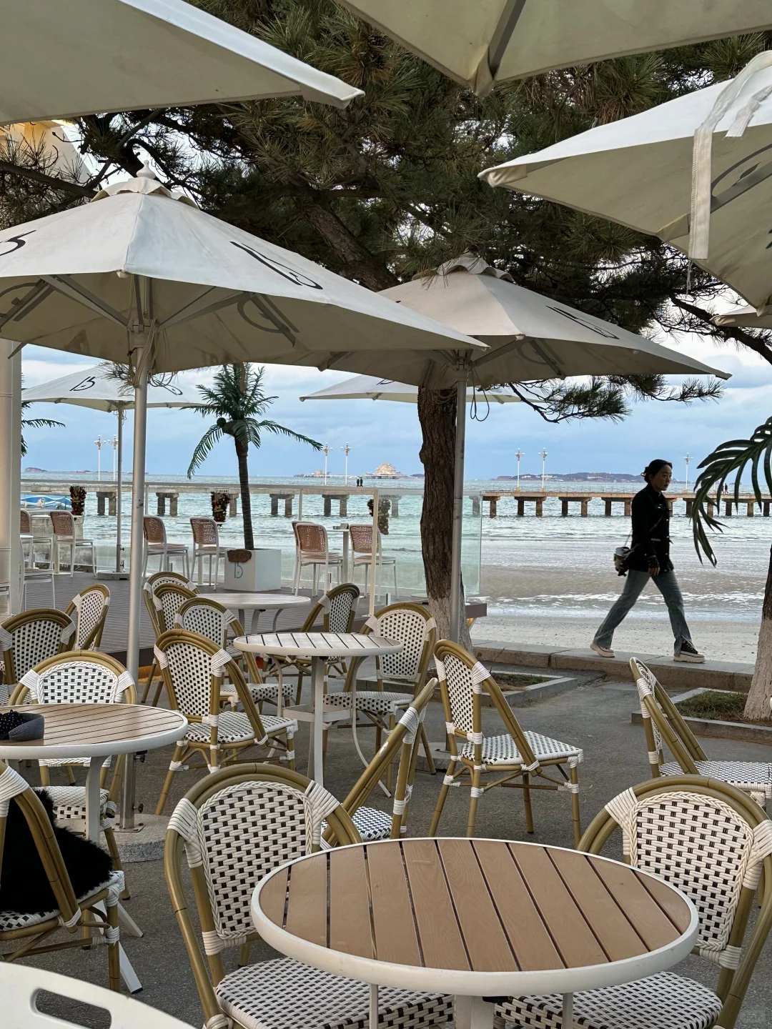 11月在烟台看海🫧🌊