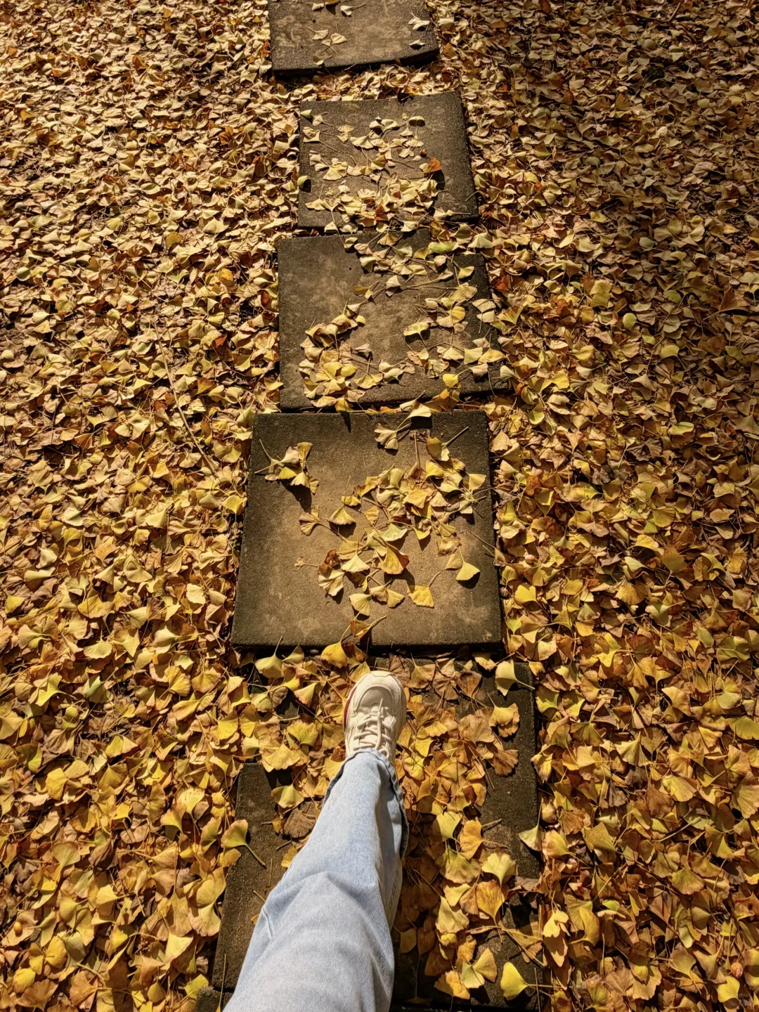 “这里是11月的烟台”🫧🌊🐚☁️