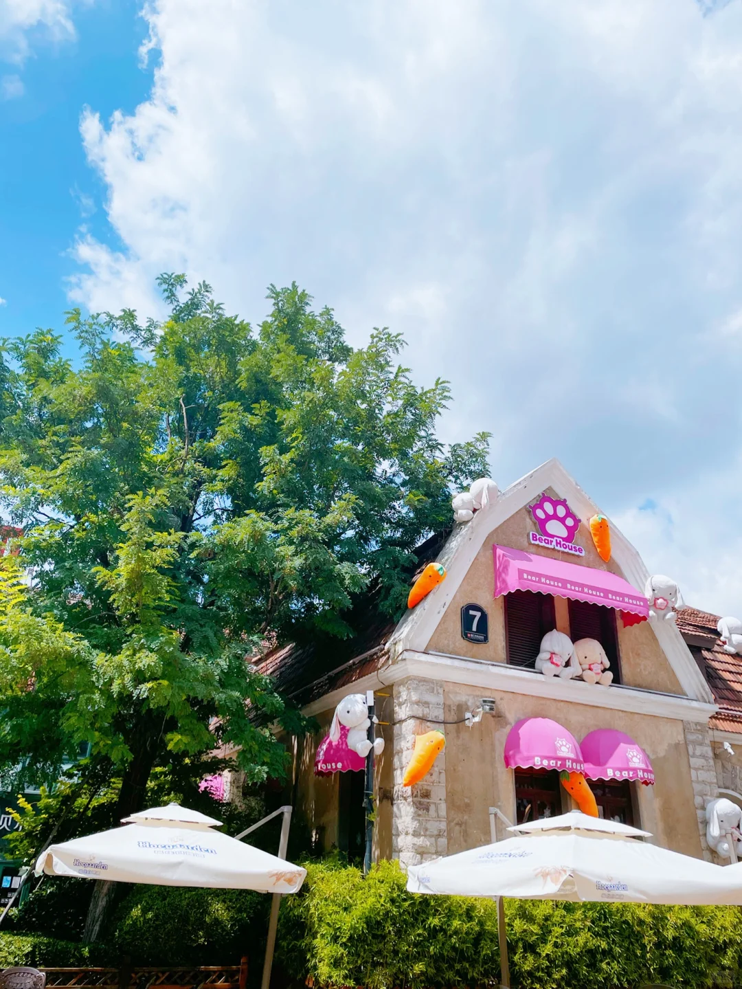 济南旅行攻略，泉城周末轻松玩