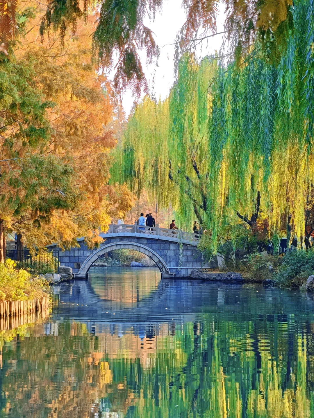 走一趟济南初冬的大明湖