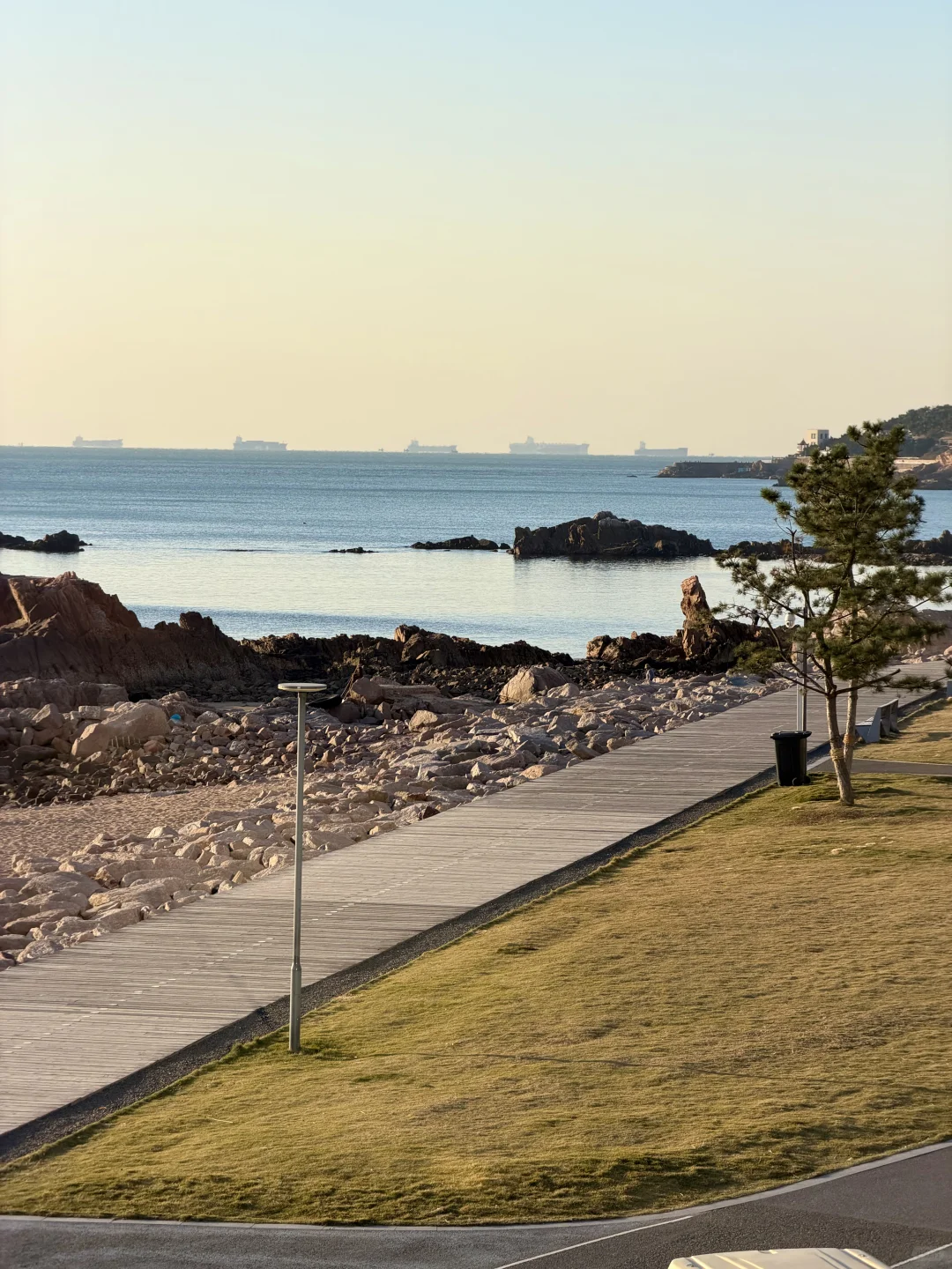 🌊我又又又喜欢上一条青岛冬天sea walk路线