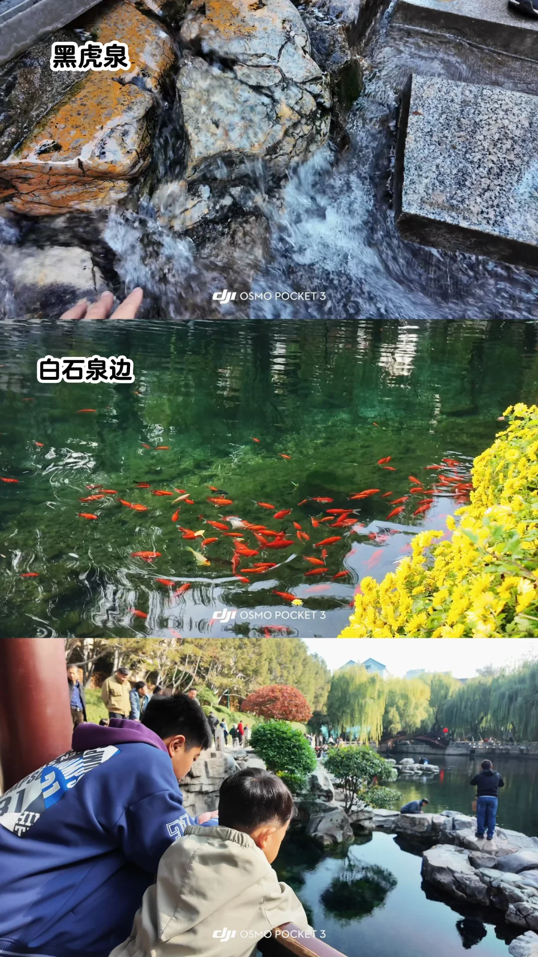 🍂请北京小孩周末都去济南赏秋！行程分享🔛