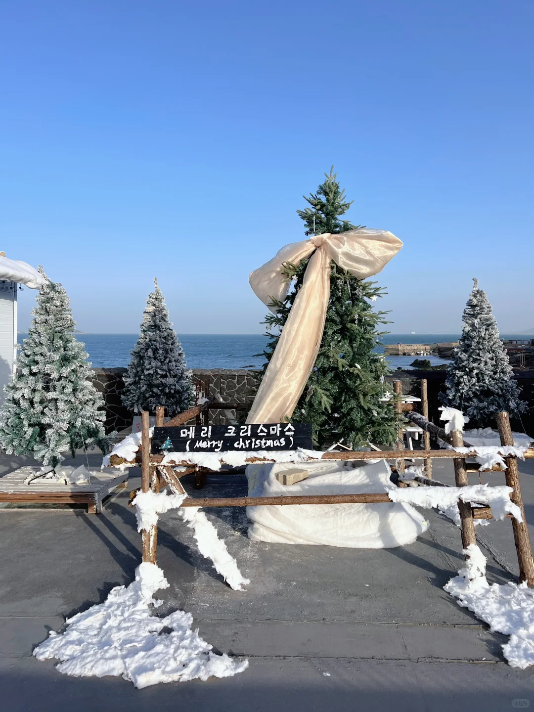 ohmo 青岛有自己的济州岛˖𓇼⋆🐚