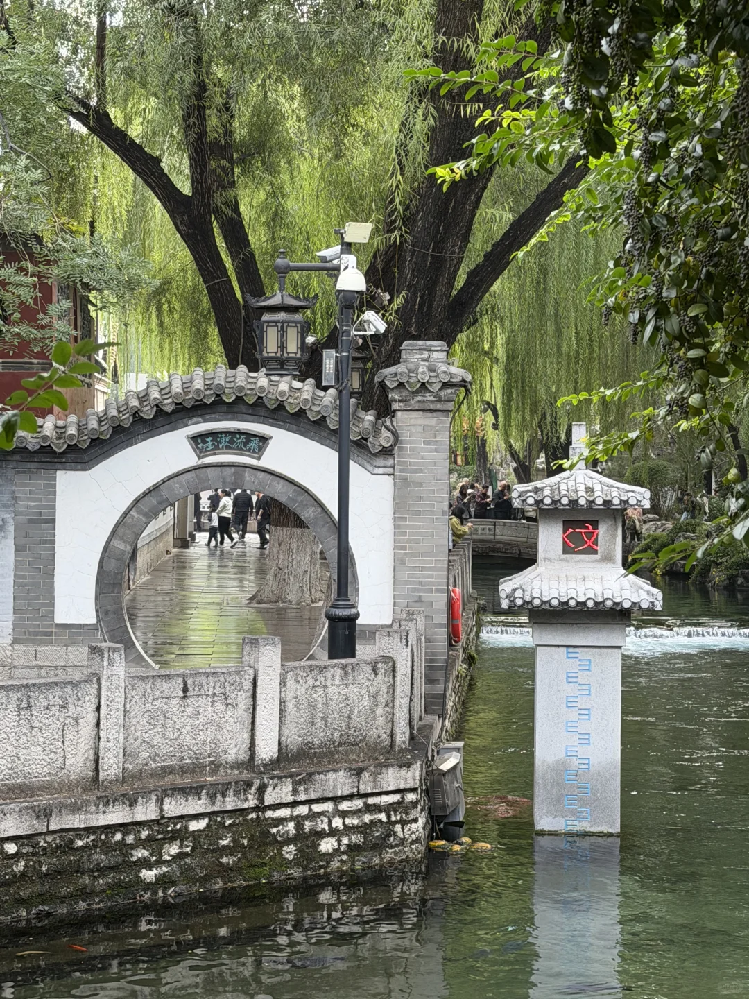 11月，趵突泉最新消息‼️要去济南的赶紧码住