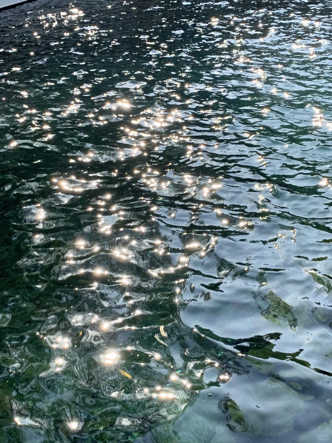 济南的冬天太美丽了