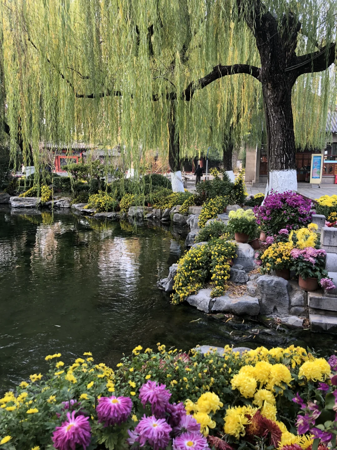 来济南啦 | 在趵突泉看小桥流水人家！