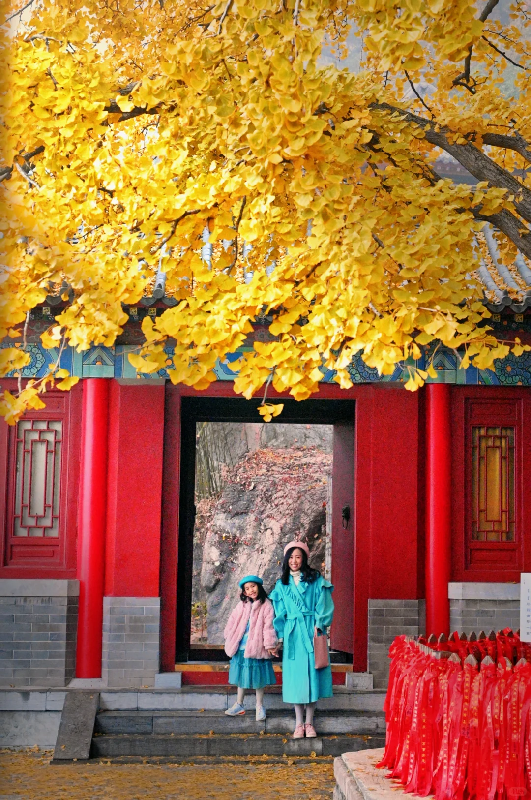 青岛6个此时此刻超美的深秋童话！