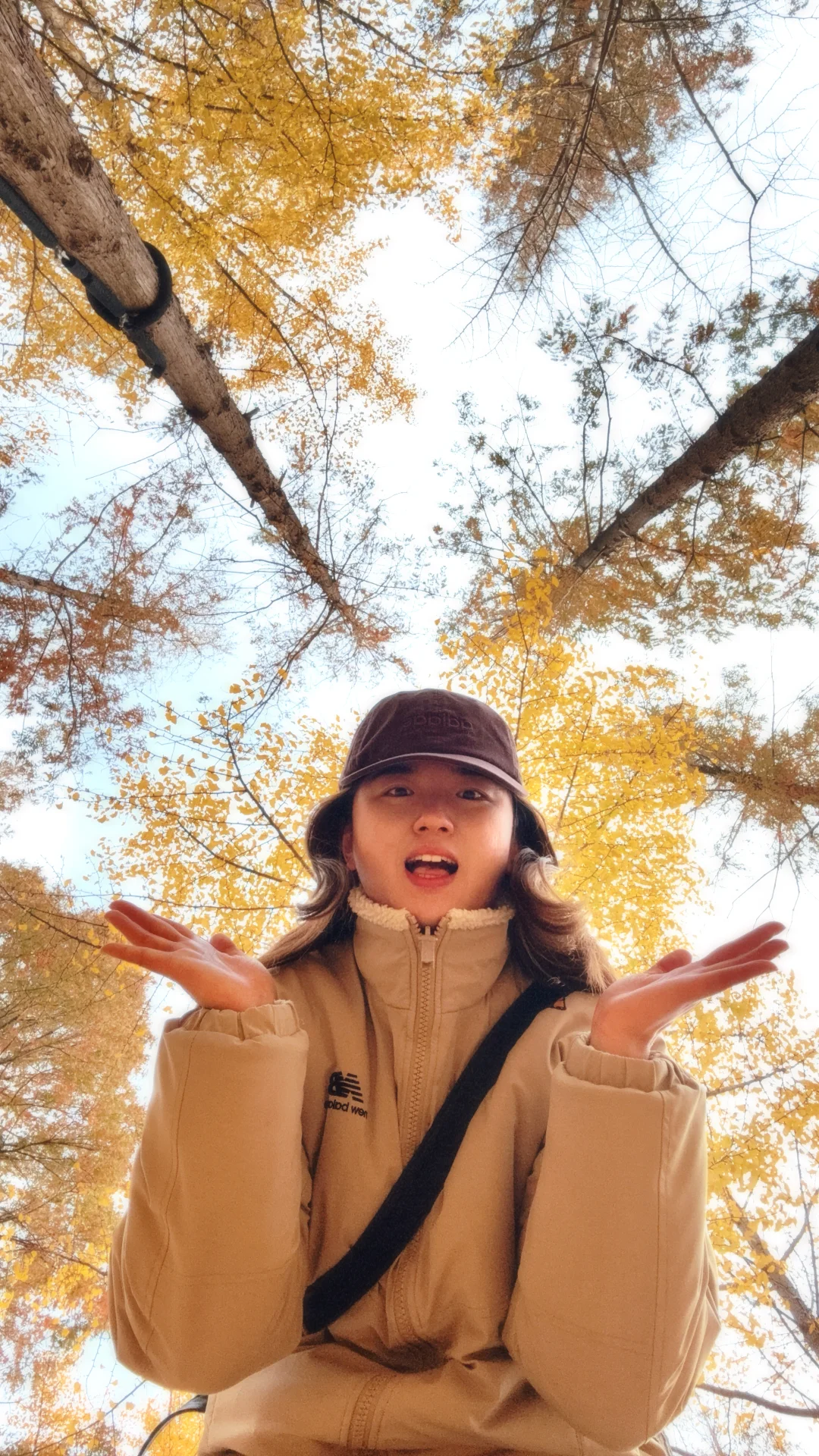 入秋，银杏叶落，满地金黄🍂