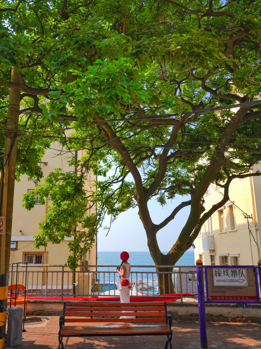 不是国外是青岛，朋友圈被问爆的1️⃣5️⃣机位！