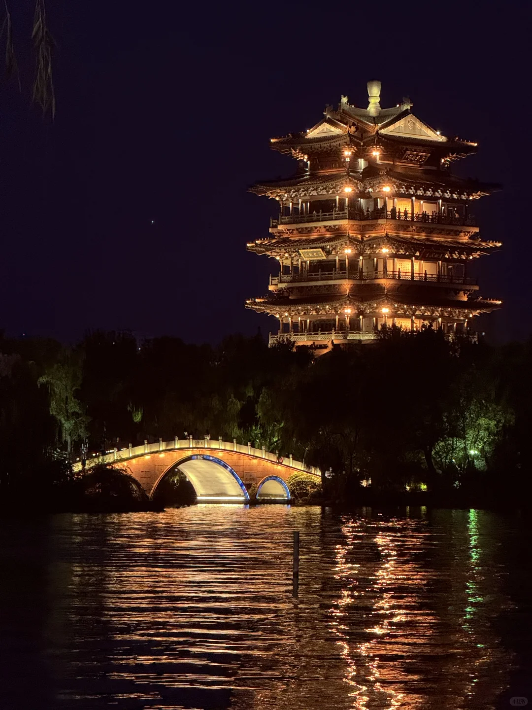 济南济南 周末小逛🪷