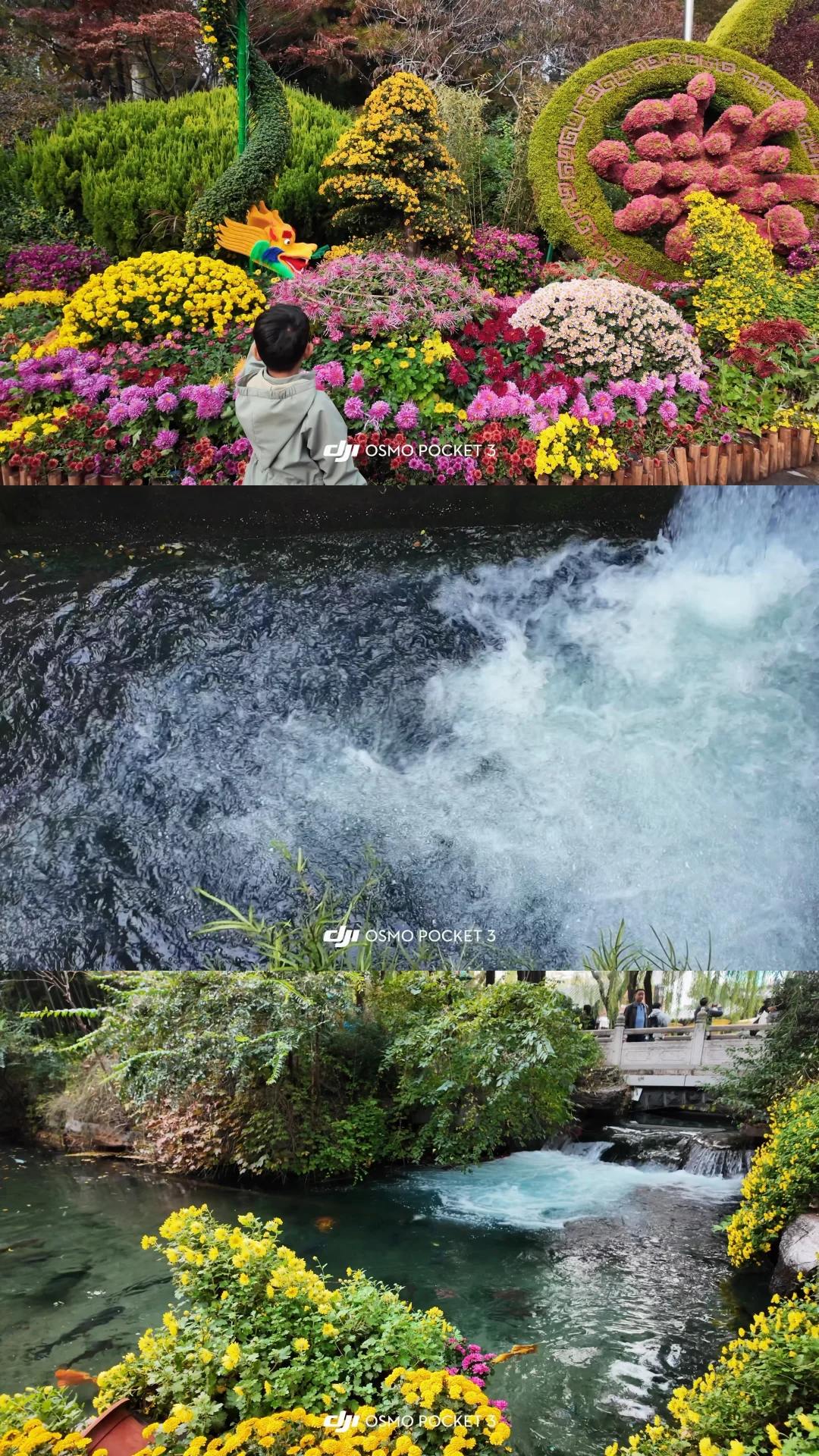 🍂请北京小孩周末都去济南赏秋！行程分享🔛