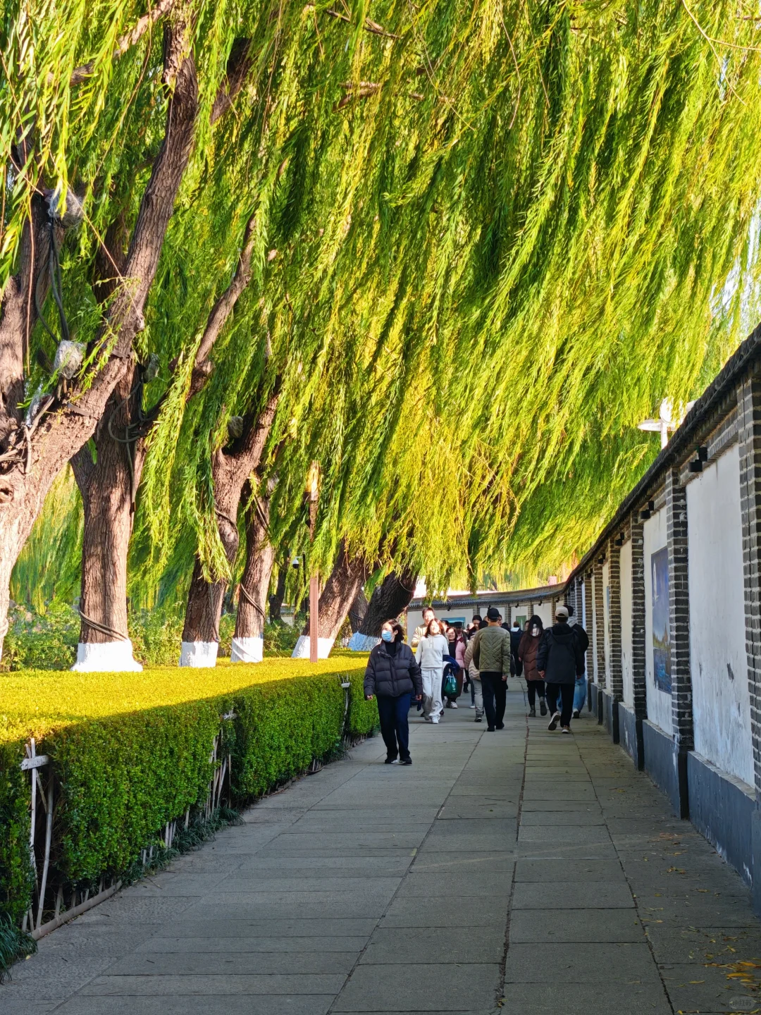 走一趟济南初冬的大明湖