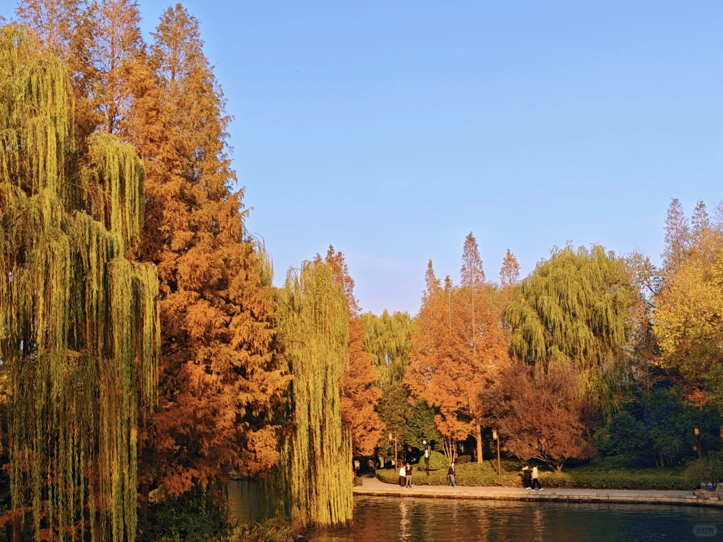 走一趟济南初冬的大明湖