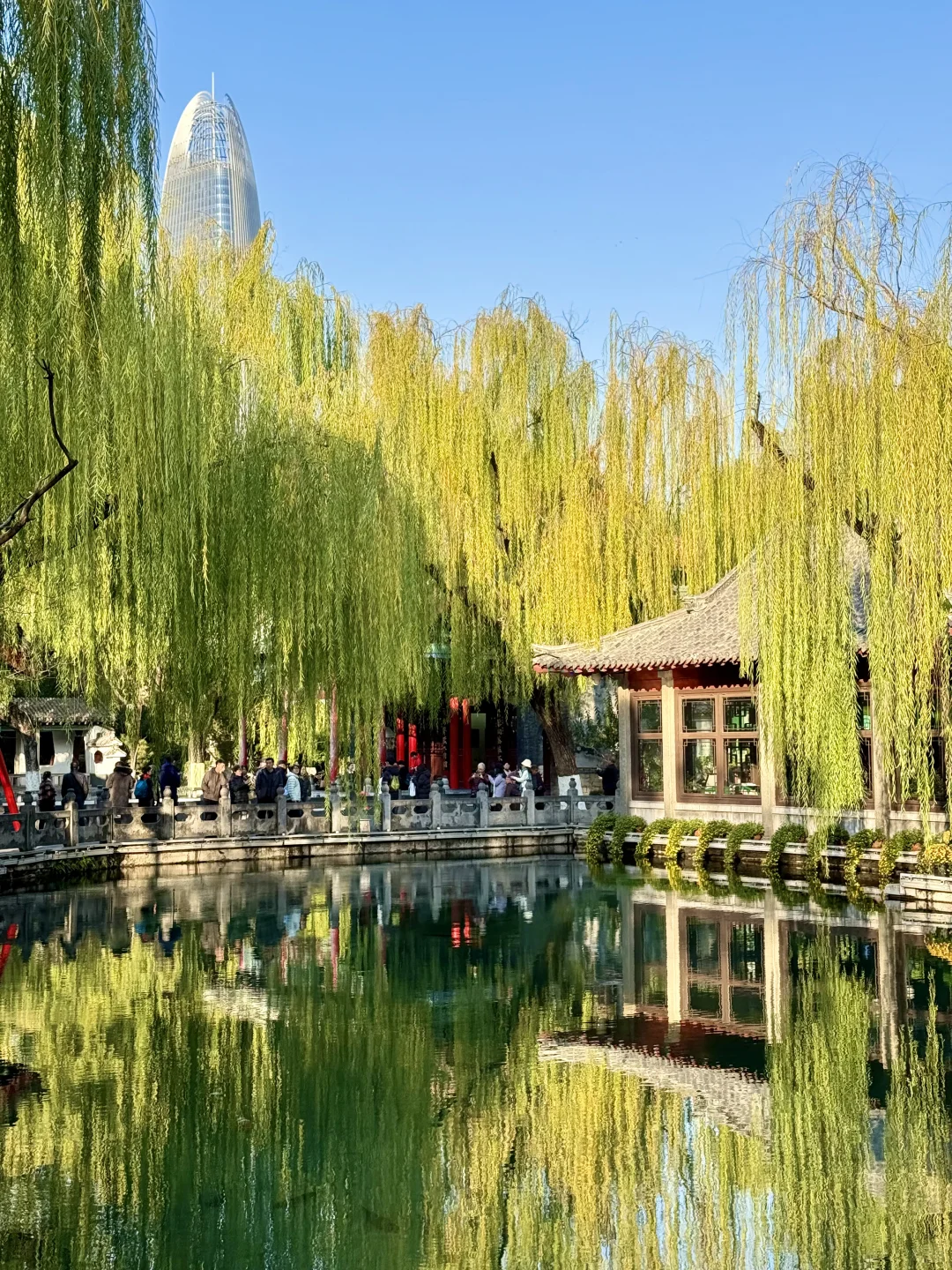 在济南🫧“清泉石上流”具像化了……