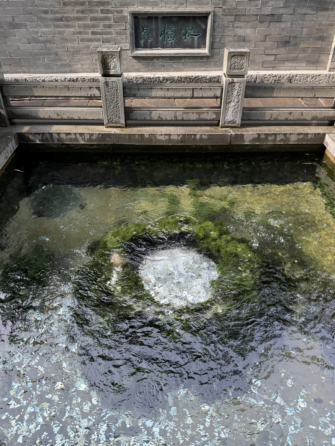 11月，趵突泉最新消息‼️要去济南的赶紧码住