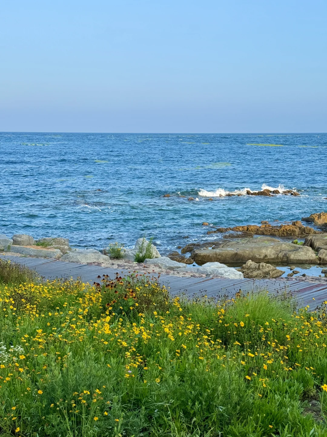 青岛每一帧都像恋爱电影取景地（附定位。。🌄