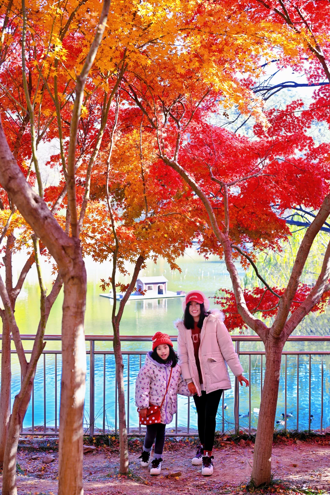 青岛6个此时此刻超美的深秋童话！