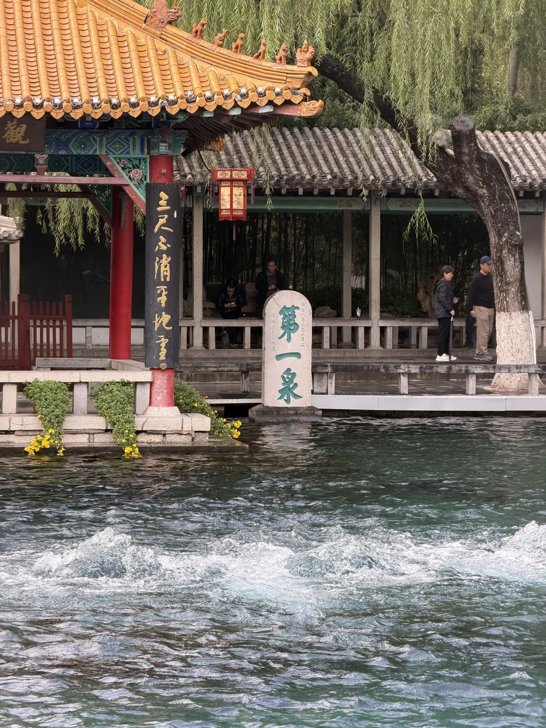 11月，趵突泉最新消息‼️要去济南的赶紧码住