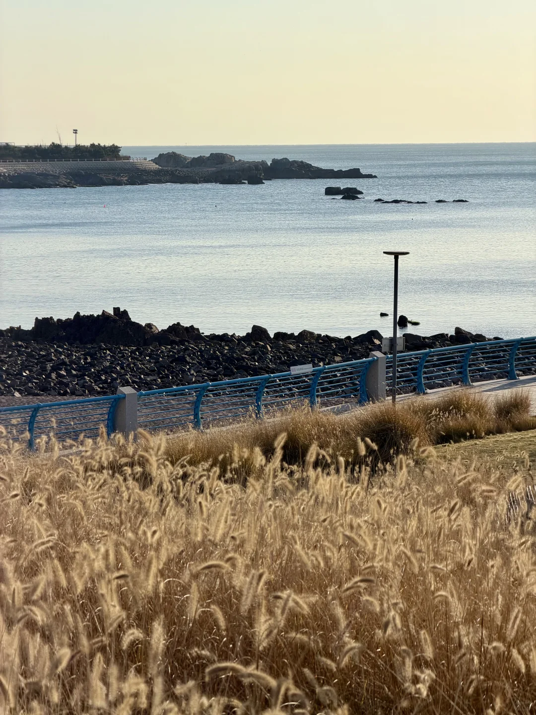 🌊我又又又喜欢上一条青岛冬天sea walk路线