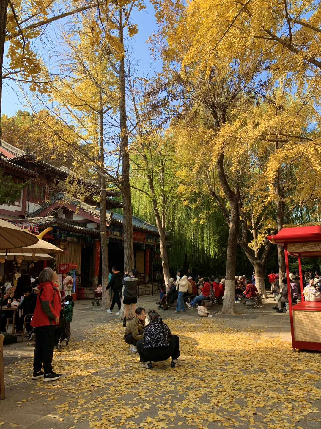 济南的冬天太美丽了