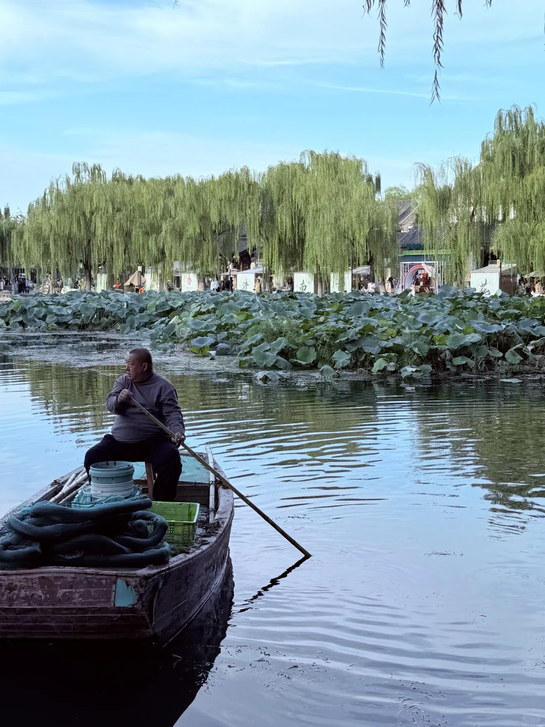 济南济南 周末小逛🪷