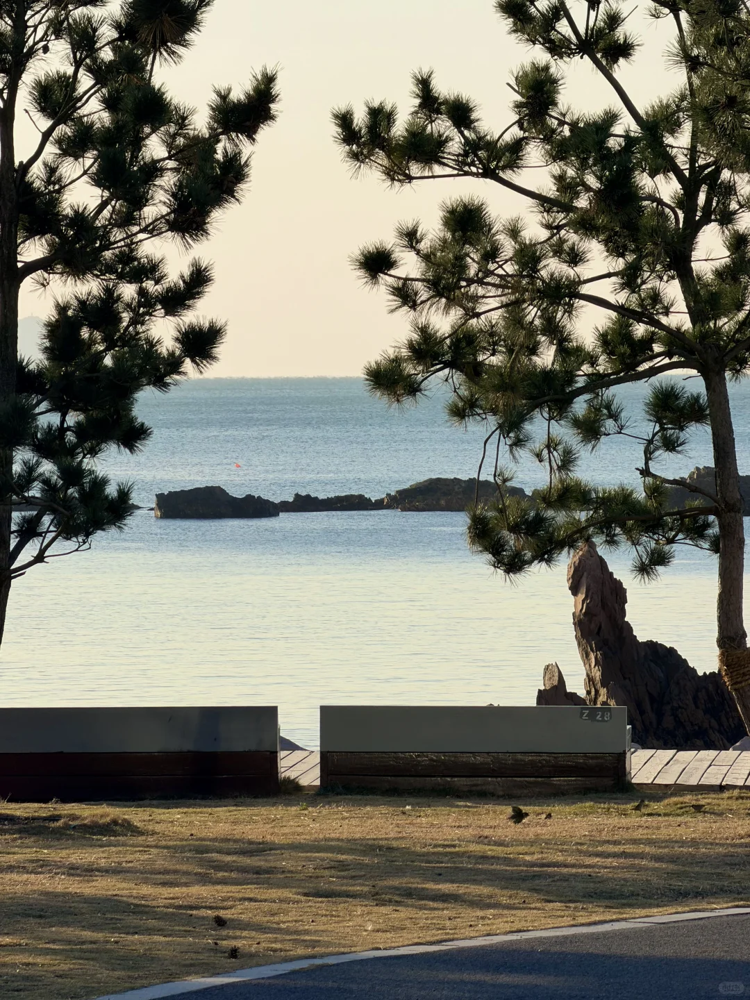 🌊我又又又喜欢上一条青岛冬天sea walk路线