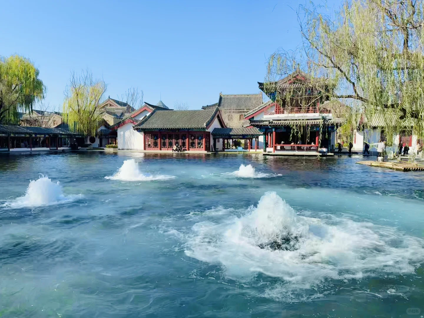 济南泉水今年的喷涌程度是本地都会震惊😱